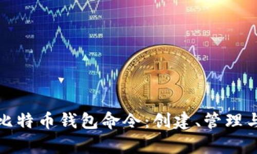 全面解析比特币钱包命令：创建、管理与安全技巧