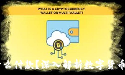   
SUDT用什么付款？深入解析数字货币支付方式