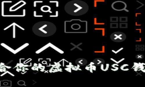 如何选择适合你的虚拟币USC钱包：全面指南