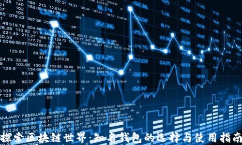 
探索区块链世界：知名钱包的选择与使用指南