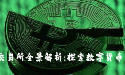 币圈前50名交易所全景解析：探索数字货币交易的新机遇