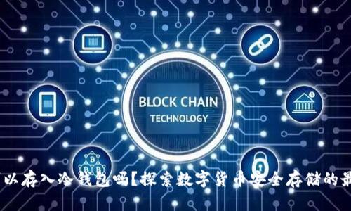 USDT可以存入冷钱包吗？探索数字货币安全存储的最佳实践