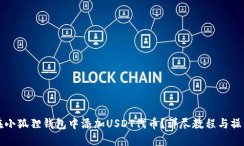 如何在小狐狸钱包中添加USDT代币？详尽教程与操作指南