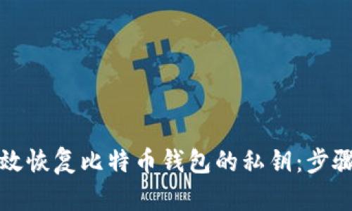 如何高效恢复比特币钱包的私钥：步骤与技巧