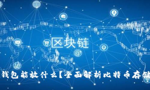 比特币电子钱包能放什么？全面解析比特币存储与使用体验