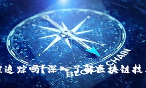 比特币钱包能被追踪吗？深入了解区块链技术的隐私与安全