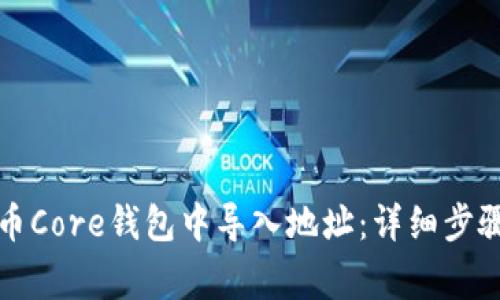 如何在比特币Core钱包中导入地址：详细步骤与注意事项