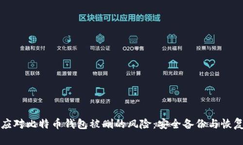 如何应对比特币钱包被删的风险：安全备份与恢复指南