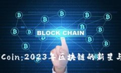币昇RiselCoin：2023年区块链