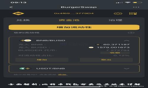 全面解析：比特币钱包分类及其版本详解