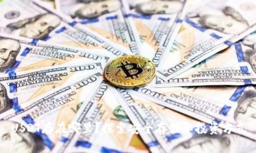 USDT存在哪里？探索安全存储和投资方式