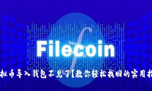 虚拟币导入钱包不见了？教你轻松找回的实用指南