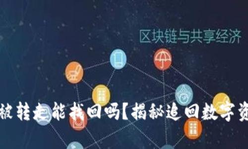 TP钱包币被转走能找回吗？揭秘追回数字资产的真相