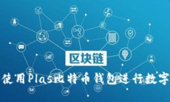 如何安全使用Plas比特币钱