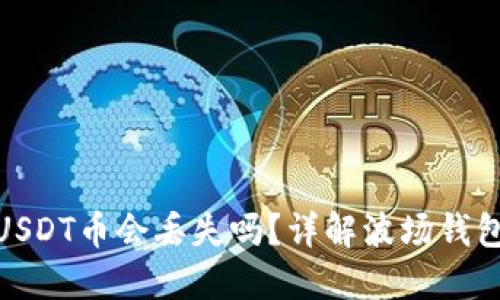 波场钱包中的USDT币会丢失吗？详解波场钱包安全性与风险