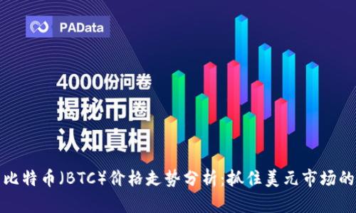 今日比特币（BTC）价格走势分析：抓住美元市场的脉搏