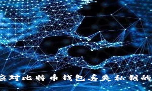 如何应对比特币钱包丢失私钥的挑战？