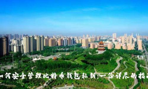 如何安全管理比特币钱包私钥：一份详尽的指南