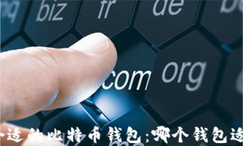 
选择合适的比特币钱包：哪个钱包适合你？