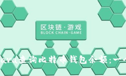 如何使用Java查询比特币钱包余额：一个全面指南