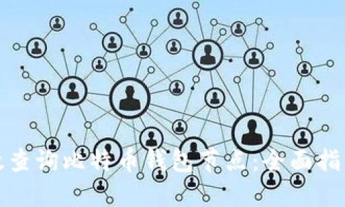 如何高效查询比特币钱包节点：全面指南与技巧