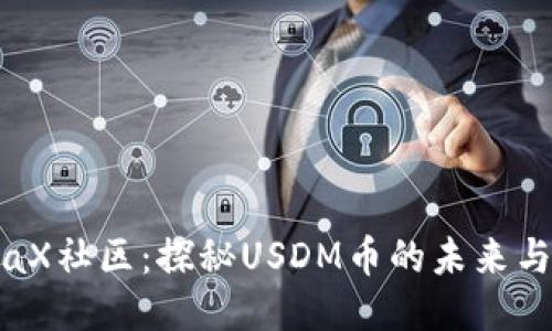 MetaX社区：探秘USDM币的未来与潜力