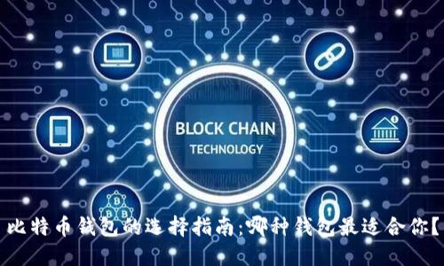 比特币钱包的选择指南：哪种钱包最适合你？