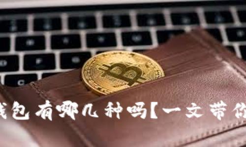 你知道区块链钱包有哪几种吗？一文带你了解各种类型！