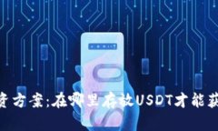 USDT投资方案：在哪里存放