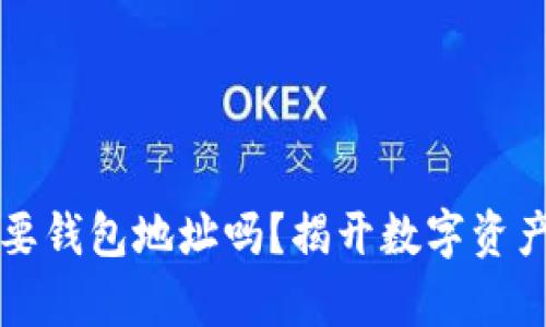 买虚拟币需要钱包地址吗？揭开数字资产交易的真相