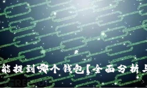 USDT能提到哪个钱包？全面分析与推荐