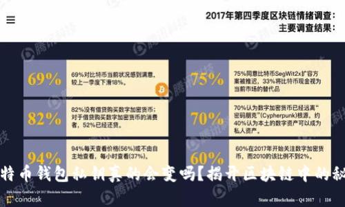 比特币钱包私钥真的会变吗？揭开区块链中的秘密