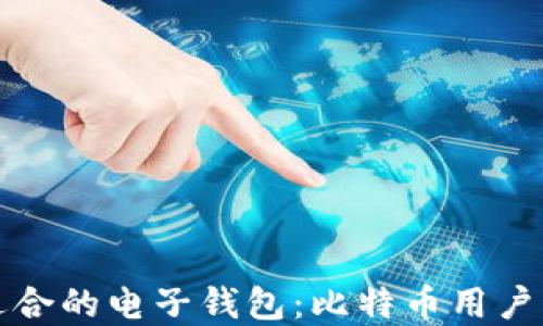 
如何选择适合的电子钱包：比特币用户的终极指南