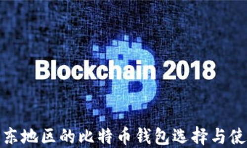 
揭秘中东地区的比特币钱包选择与使用攻略