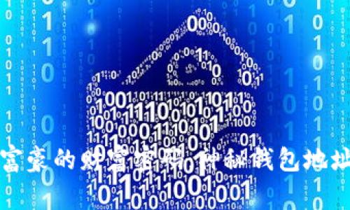 揭秘比特币富豪的财富密码：神秘钱包地址背后的故事