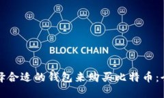 如何选择合适的钱包来购