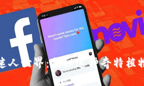 坎帕努拉塔的迷人世界：揭秘这种奇特植物的养护与栽培