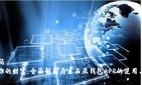 伪代码
掌控你的财富：全面解析马来西亚钱包APP的使用与优势