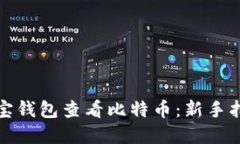 如何通过支付宝钱包查看