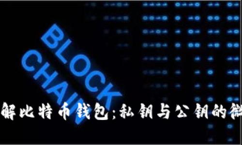 深入了解比特币钱包：私钥与公钥的微妙关系