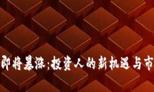 ADA币即将暴涨：投资人的新机遇与市场分析