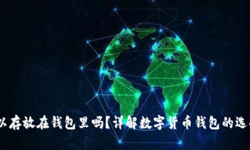 USDT可以存放在钱包里吗？详解数字货币钱包的选择与使用