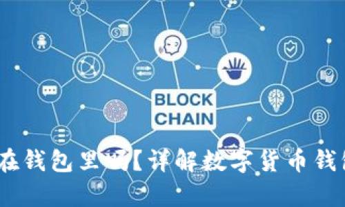 USDT可以存放在钱包里吗？详解数字货币钱包的选择与使用