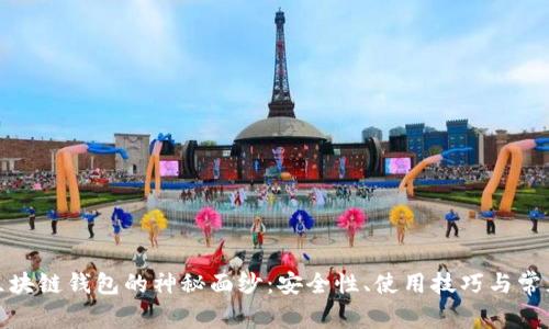 揭开区块链钱包的神秘面纱：安全性、使用技巧与常见套路