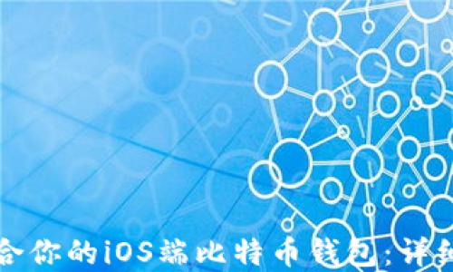 
如何选择适合你的iOS端比特币钱包：详细指南与推荐