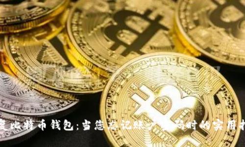 恢复比特币钱包：当您忘记账户密码时的实用指南