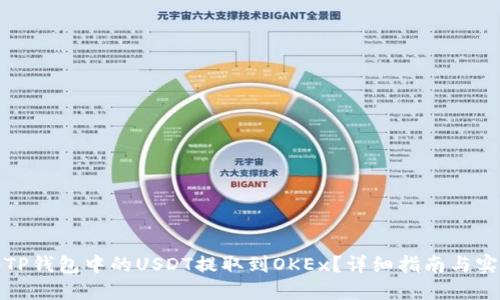 如何将TP钱包中的USDT提取到OKEx？详细指南与实用技巧