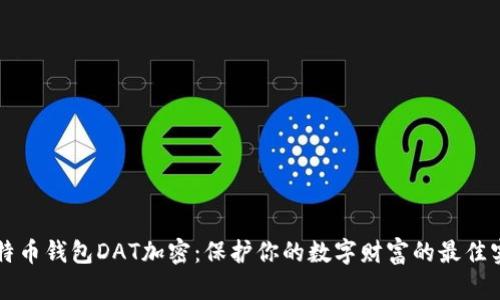 比特币钱包DAT加密：保护你的数字财富的最佳实践