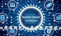 如何导入比特币钱包：一