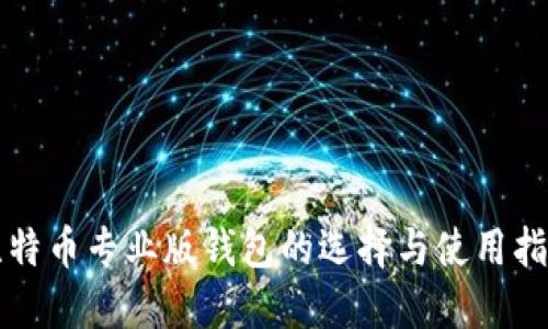 比特币专业版钱包的选择与使用指南